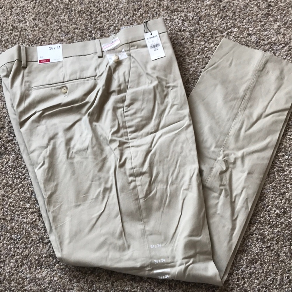 Express Dress Pants